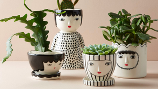Someone Please Tell Me To Stop Buying Planters With Faces On Them